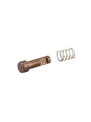 Small plunger and silver spring 